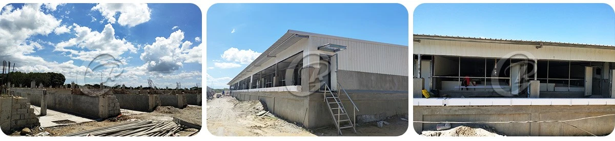 steel structure building 51